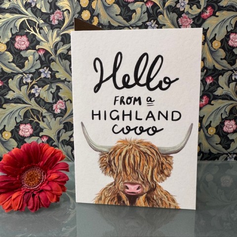 Blank card - Hello from a Highland Cooo Blank card - Hello from a Highland Cooo