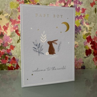 Baby boy card - Baby boy, welcome to the world